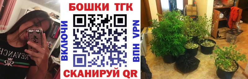 Виды наркотиков купить Дербент Гашиш  МЕФ 