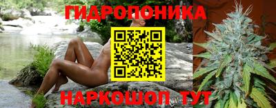 гашик Бийск