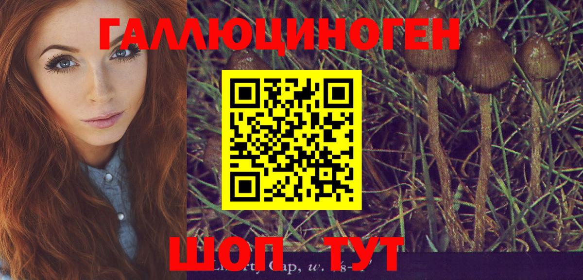 Галлюциногенные грибы MAGIC MUSHROOMS Дербент