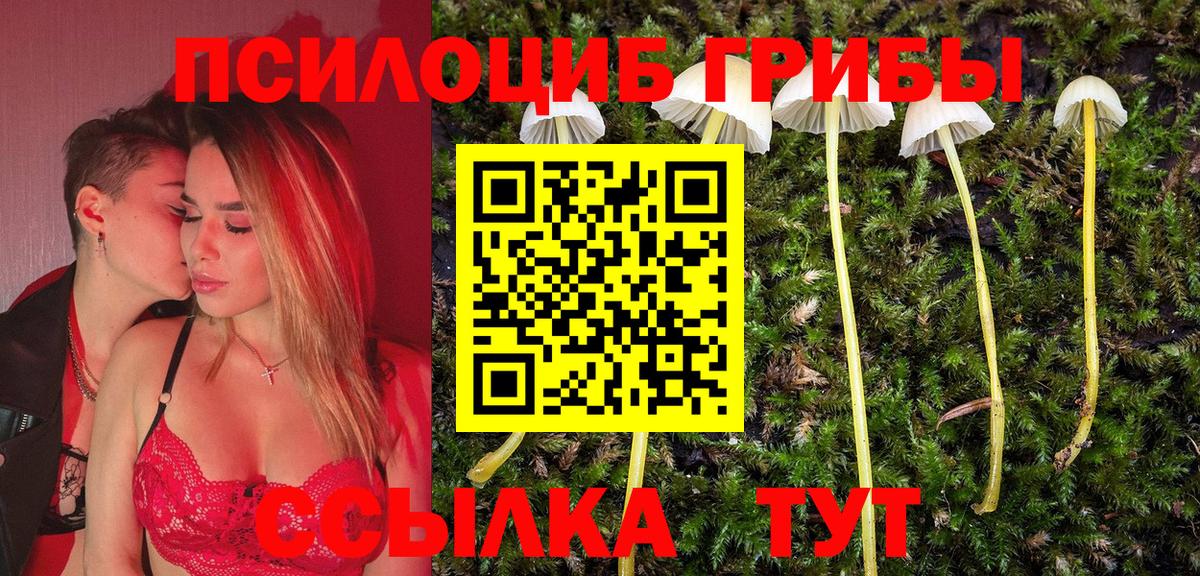 Дербент  Галлюциногенные грибы Psilocybe  Вход с VPN 